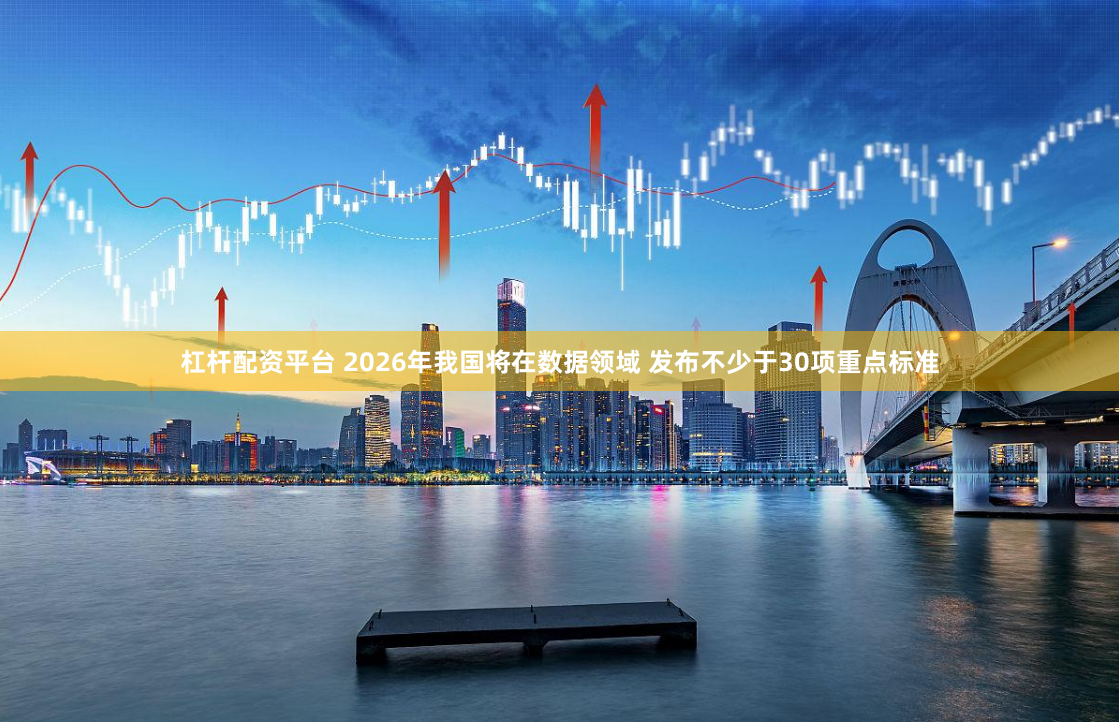 杠杆配资平台 2026年我国将在数据领域 发布不少于30项重点标准